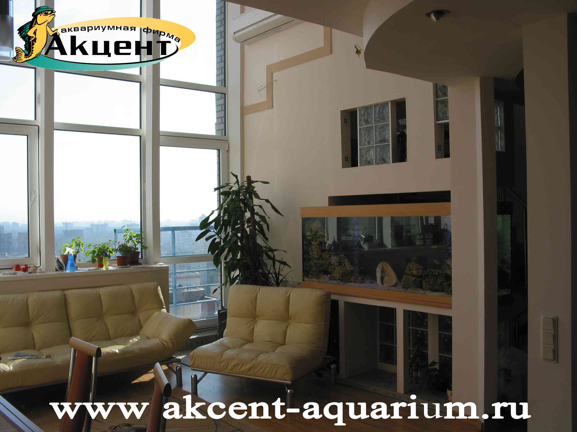 Акцент-аквариум, аквариум просмотровый 800 литров вид со стороны комнаты